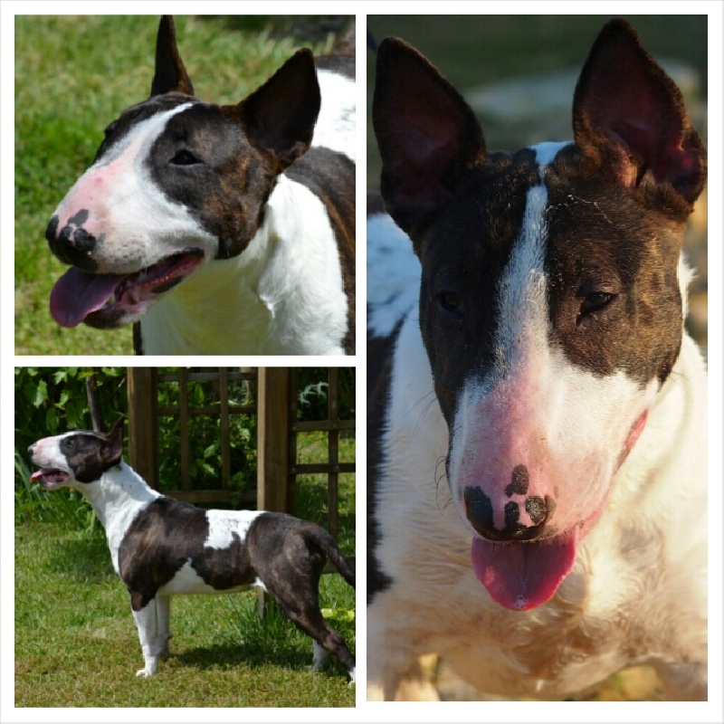 Deiz Al Lid In my mind (paulette)