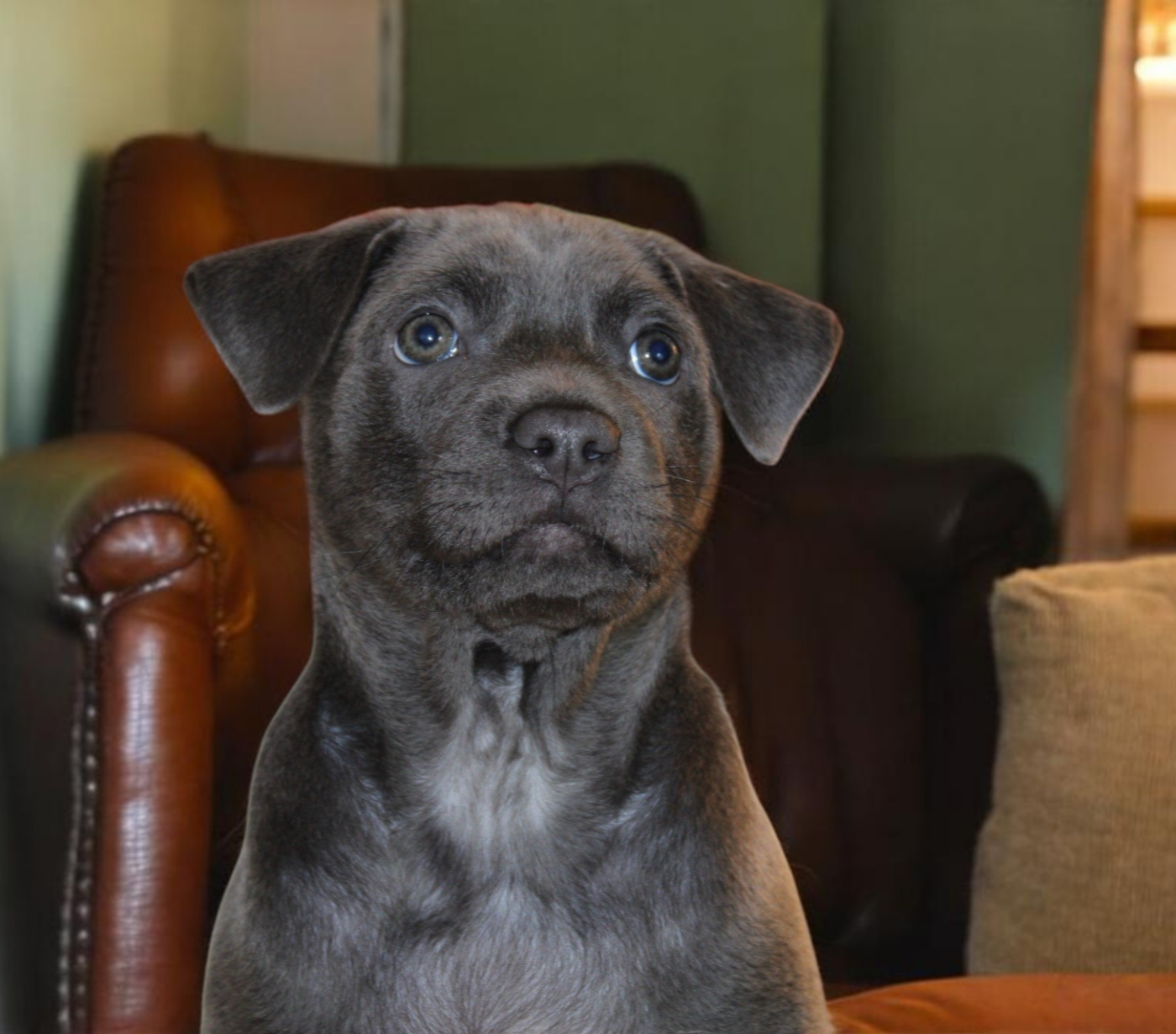 Mademoiselle Ambre cherche sa famille