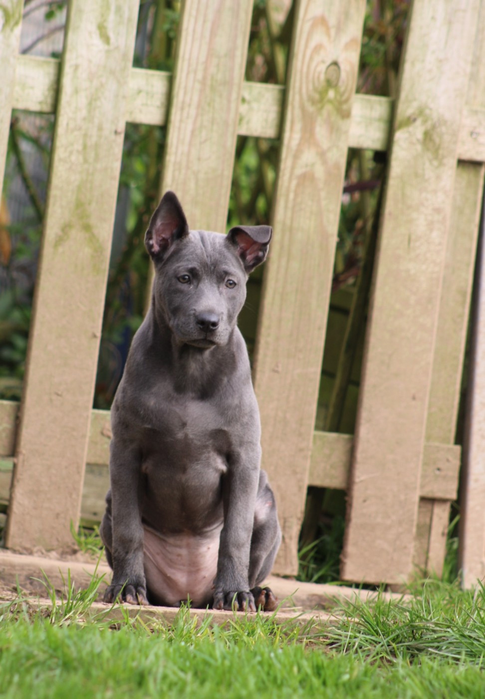 Prête a rejoindre sa famille